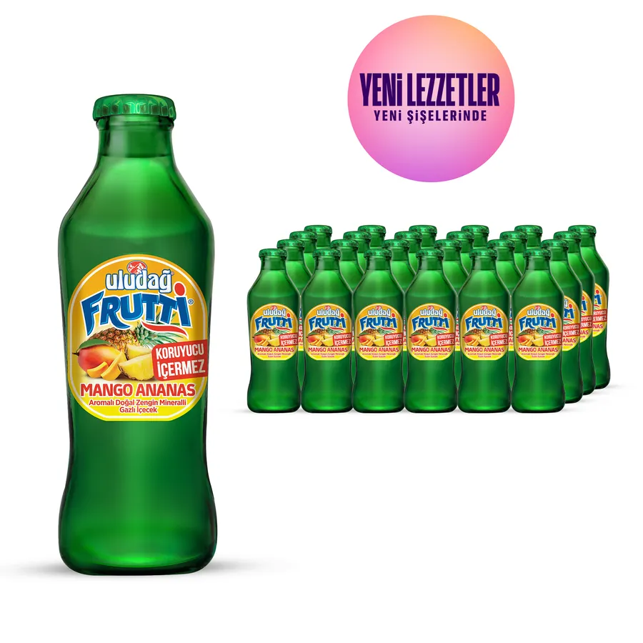 ULUDAĞ FRUTTİ MANGO-ANANAS 200ML 1*24
