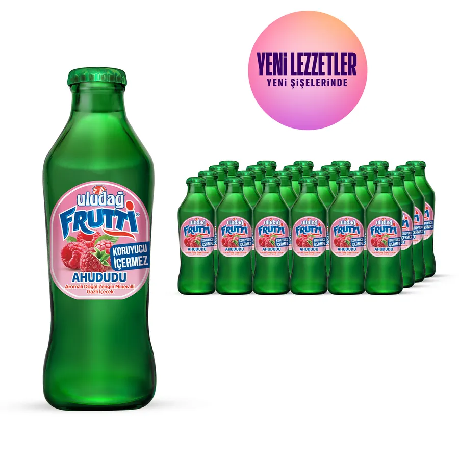 ULUDAĞ FRUTTİ AHUDUDU 200ML 1*24