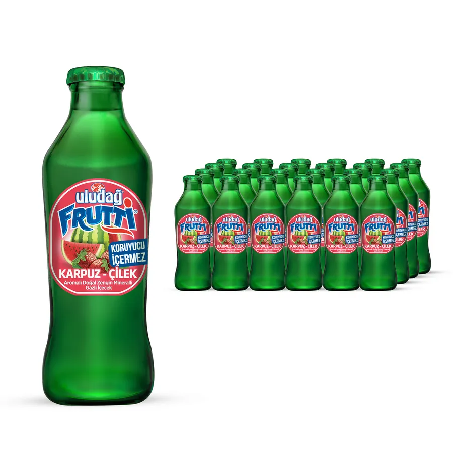 ULUDAĞ FRUTTİ KARPUZ-ÇİLEK 200ML 1*24